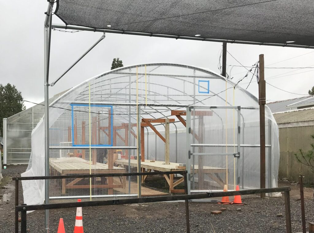 new greenhouse